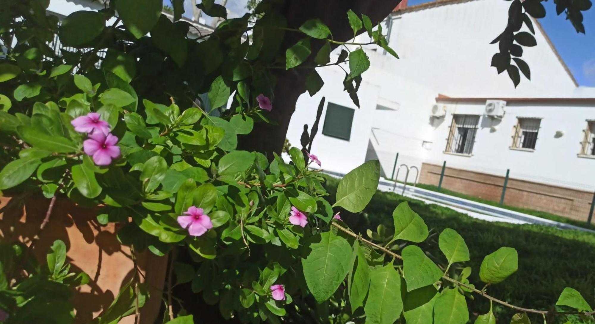 Casa Turquesa Villa Valencina de la Concepcion Bagian luar foto